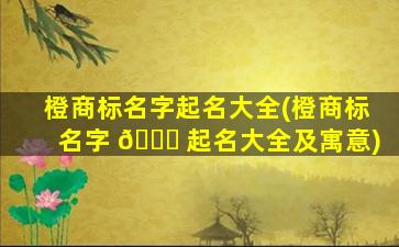 橙商标名字起名大全(橙商标名字 🍁 起名大全及寓意)